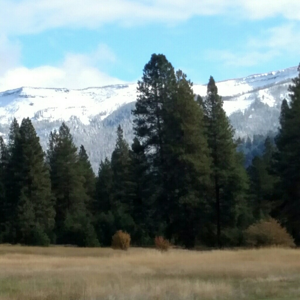 Meet your Posher, Star